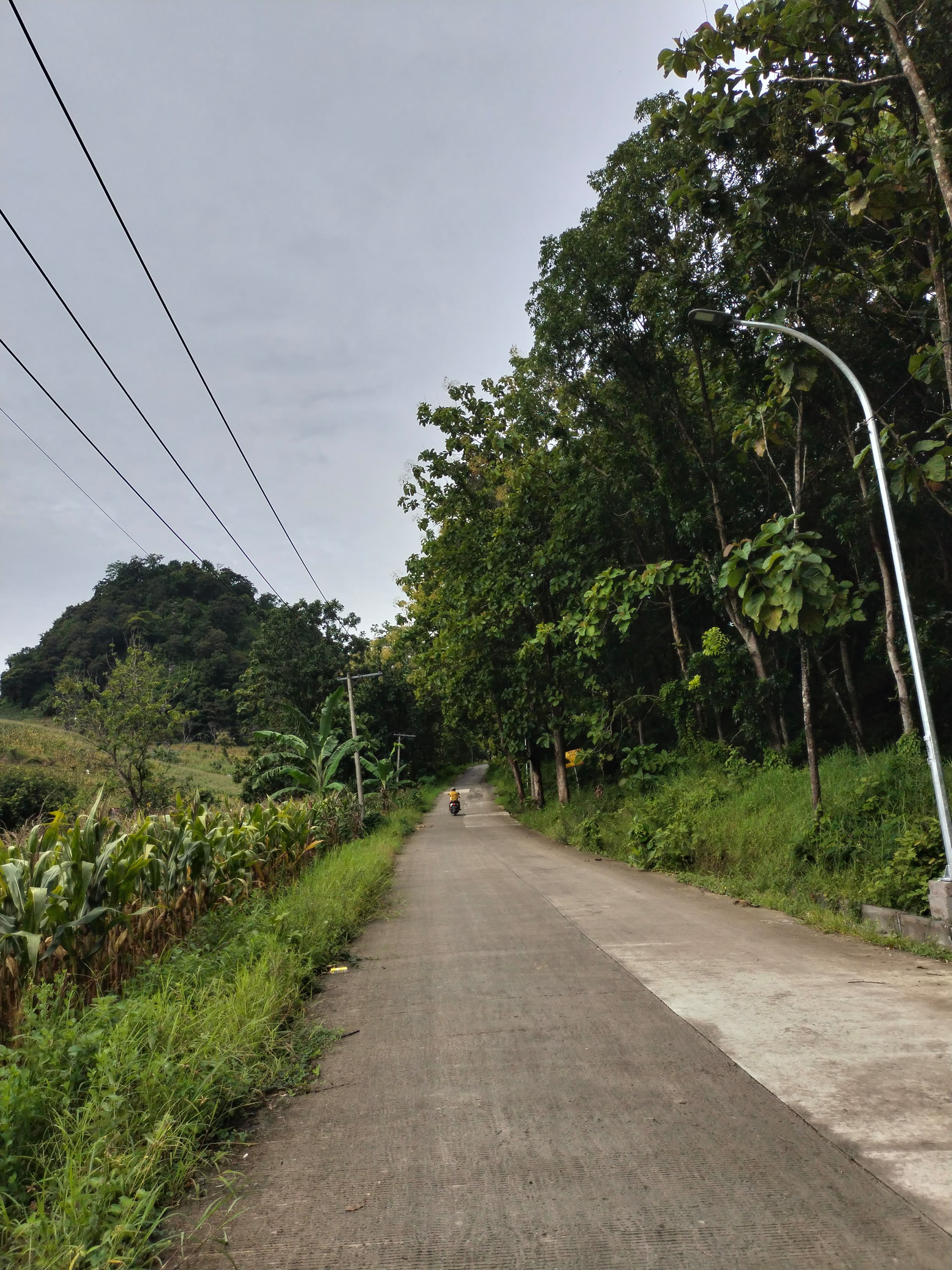 PJU di pelosok daerah Bojonegoro.