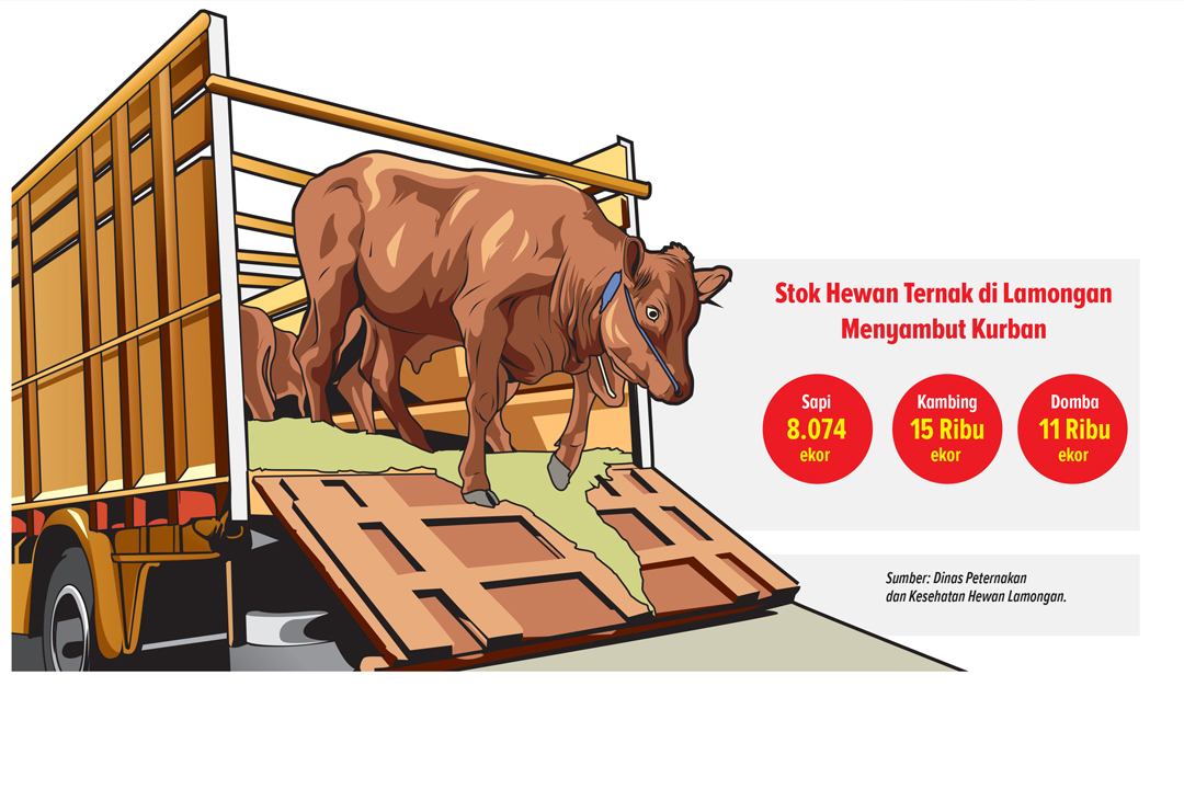 Stok Hewan Ternak di Lamongan Menyambut Kurban