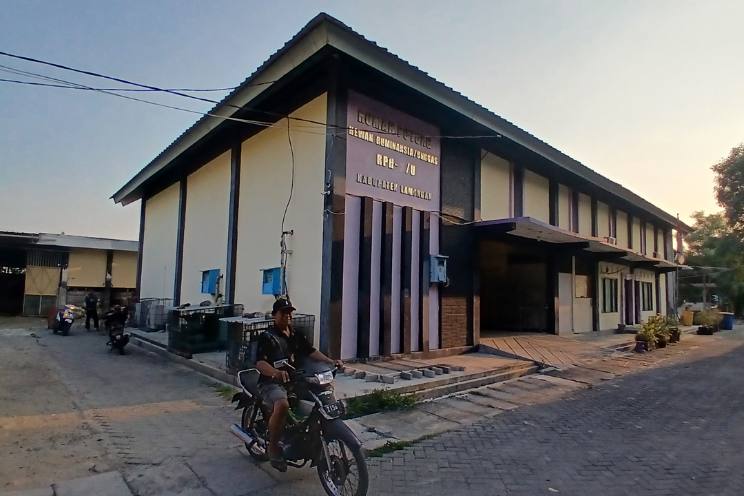 SEPI: Rumah potong hewan di Kelurahan Sidoharjo, Kecamatan Lamongan.