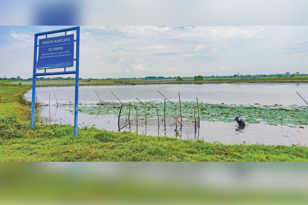 TAMPUNGAN AIR: Salah satu waduk di Lamongan yang masih terisi air.