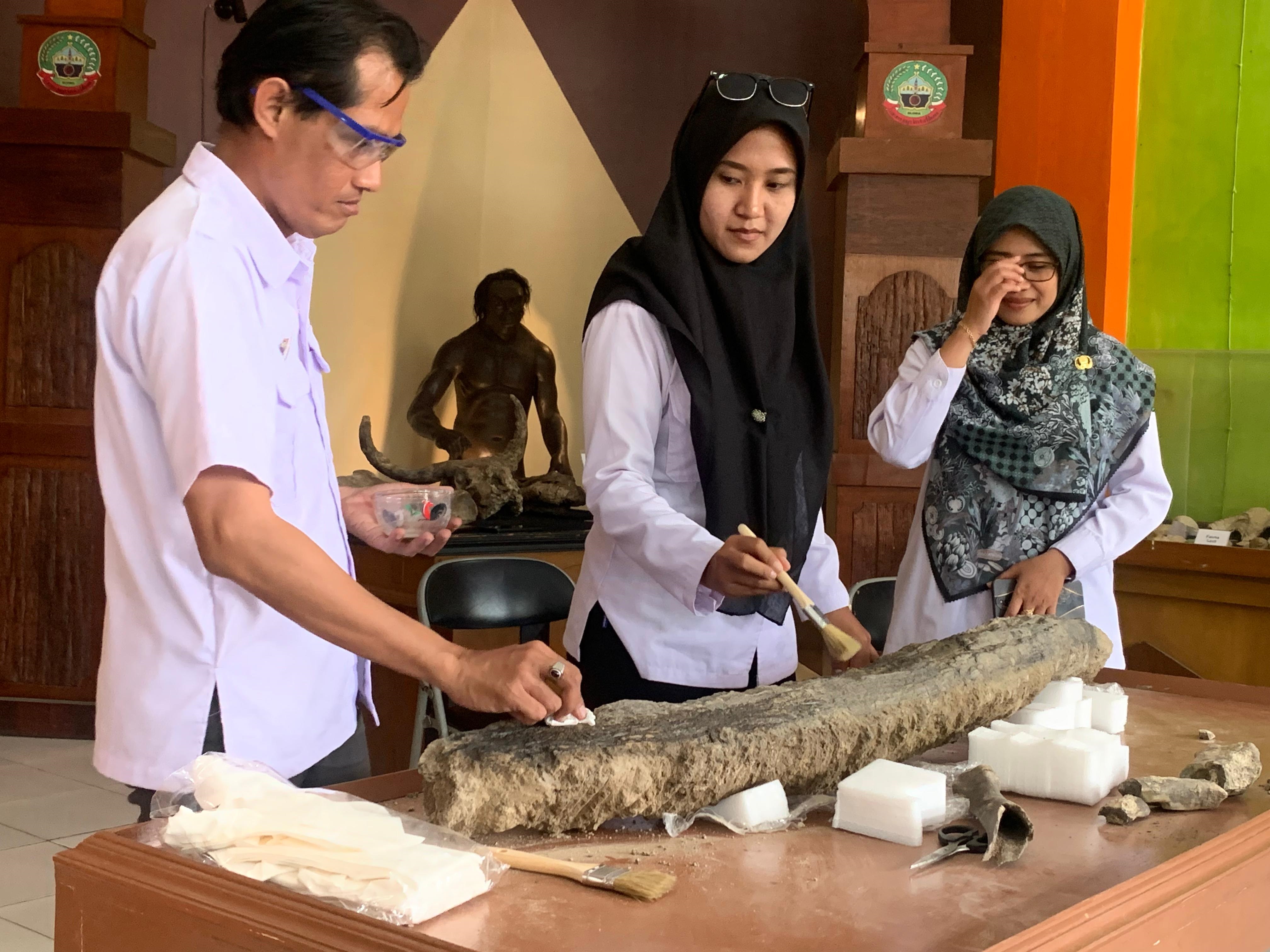 RUMAH ARTEFAK: Fosil gading gajah purba yang ditemukan warga di Desa Ngloram, Kecamatan kini telah disimpan di Rumah Artefak Blora.
