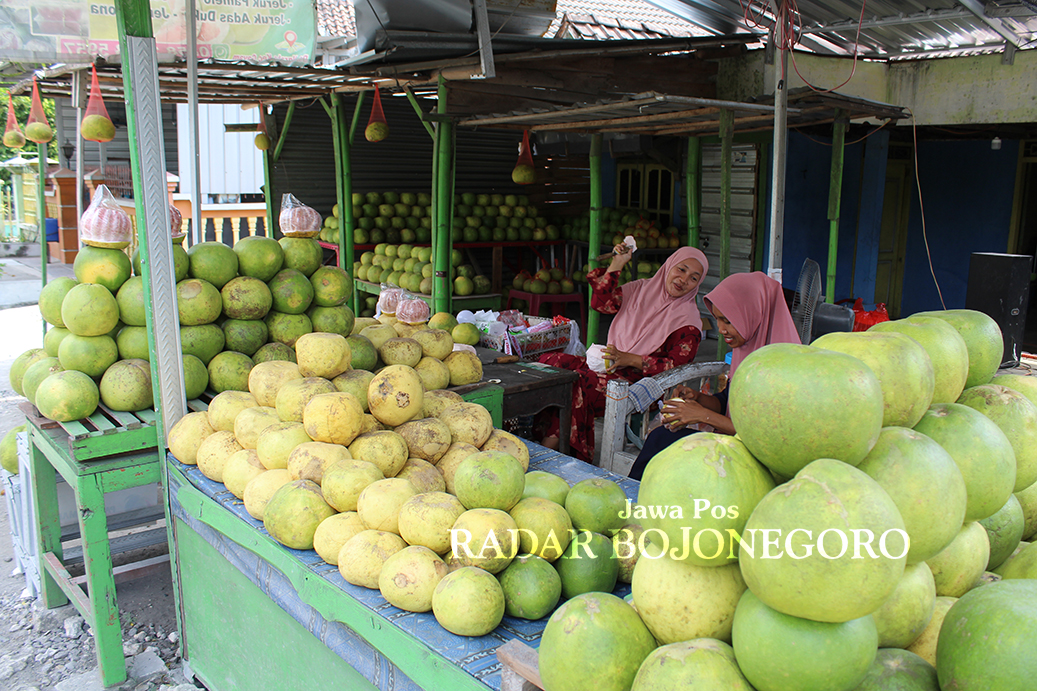 KHUSUS JERUK BALI: Lapak jeruk bali di tepi jalan BojonegoroCepu menjadi jujugan warga Tionghoa dan warga yang butuh bumbu rujak tingkeban. (DHANI WAHYU ALFIANSYAH/RADAR BOJONEGORO)