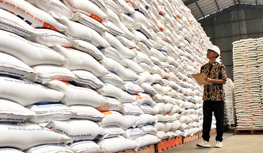 STOK BERAS: Petugas lakukan pengecekan stok beras di Gudang Bulog Tempel Lemahbang Blora. Target penyerapan tahun ini sebanyak 3.600 ton beras.