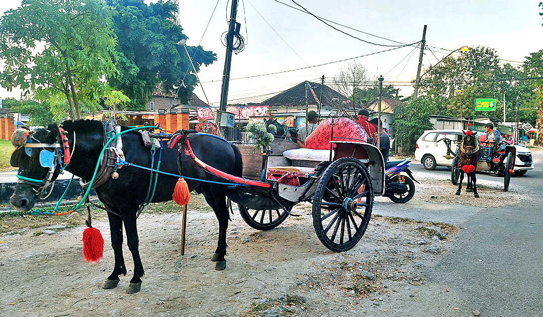 WISATA DELMAN: Belasan delman setiap sore hingga malam mangkal di area Taman Tuk Buntung turut Kecamatan Cepu siap mengangkut para wisatawan.