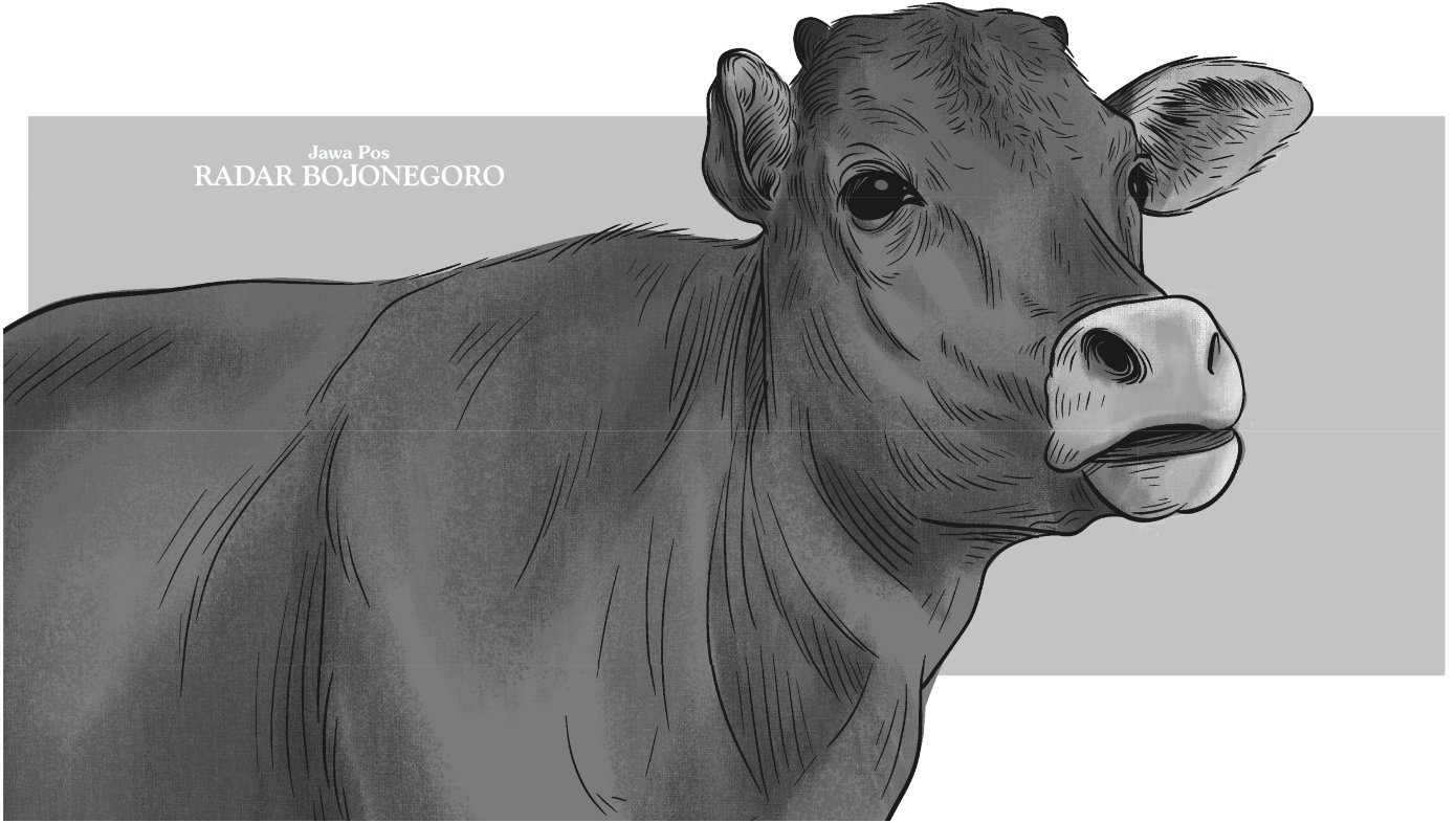 Ilustrasi (AINUR OCHIEM/RADAR BOJONEGORO)