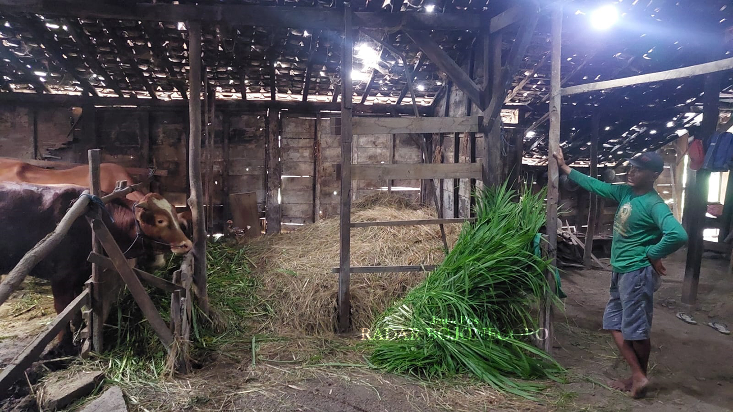 REKOM: Arief Rohman terima surat rekomendasi dari Ketua DPP Perindo Hary Tanoe. (LUKMAN HAKIM/RADAR BOJONEGORO)