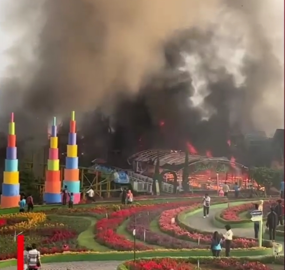 Terbakar hebat, asap membumbung tinggi. Wisata Taman Bunga Celosia di Semarang kebakaran.