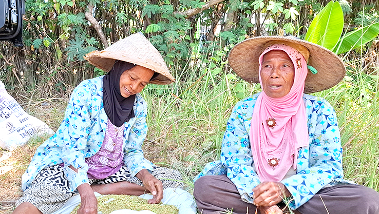 SIBUK MEMILAH PADI: Mbah Rukmini (kiri) sedang memilah bulir-bulir padi untuk dimasukkan ke dalam kantong zak. (DEWI SAFITRI/RADAR BOJONEGORO)