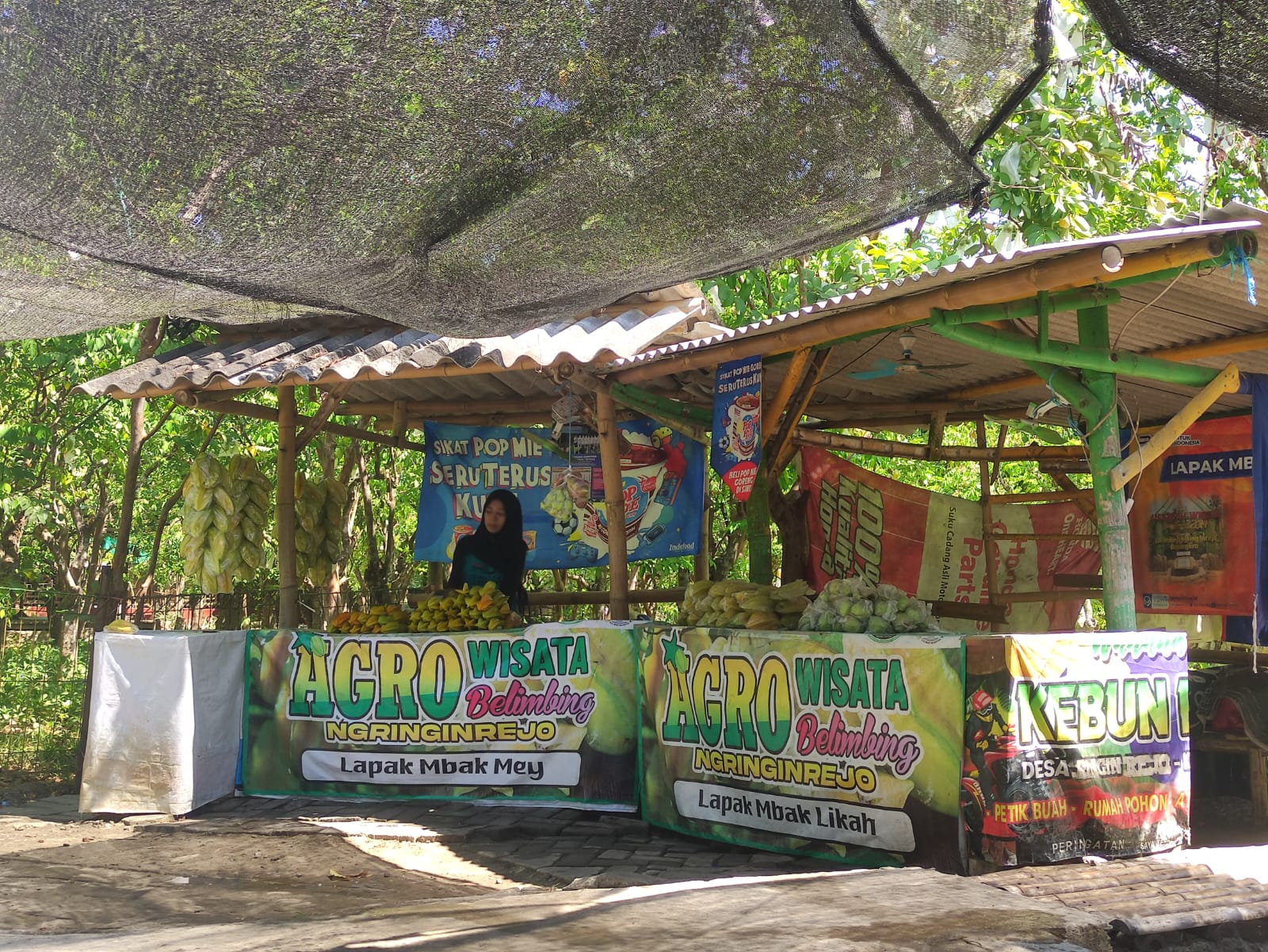 MUSIMAN: Ramainya pengunjung Agrowisata Kebun Belimbing Ngringinrejo terbilang musiman. (AHMAD NAWAF TIMYATI FANDAWAN/RADAR BOJONEGORO)