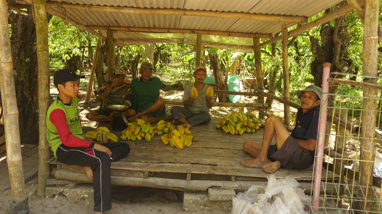 TERUS BERKEMBANG DAN EKSIS: Agrowisata Kebun Belimbing di Desa Ngringinrejo, Kecamatan Kalitidu senantiasa terus berkembang. (FARHAN REZA ARDIANSYAH/RADAR BOJONEGORO)