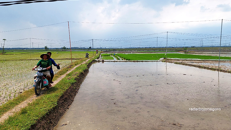 BUTUH SOSIALISASI: Mayoritas petani di Blora masih belum tertarik ikut program asuransi usaha pertanian. (M. LUKMAN HAKIM/RADAR BOJONEGORO)