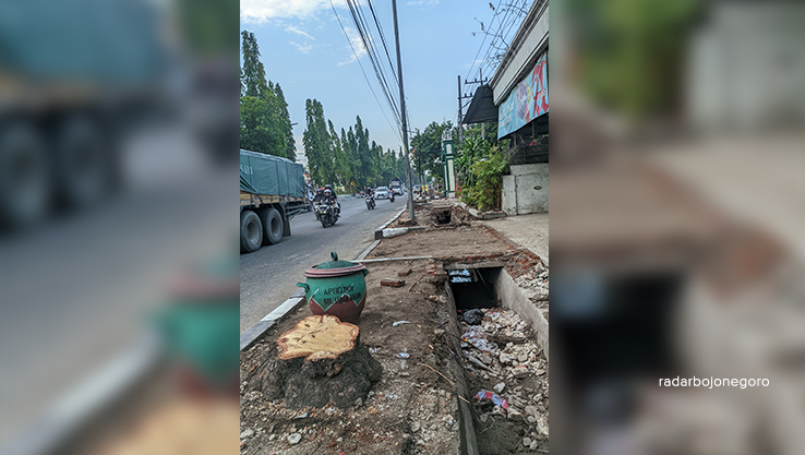 TINGGAL BATANG: Pohon di Jalan Rajawali Bojonegoro ini menyisakan batangnya saja, setelah ditebang sebelum proyek trotoar dimulai. (DHANI WAHYU ALFIANSYAH/RADAR BOJONEGORO)