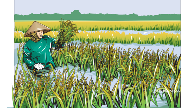 Ilustrasi Petani. (IST/RADAR BOJONEGORO)