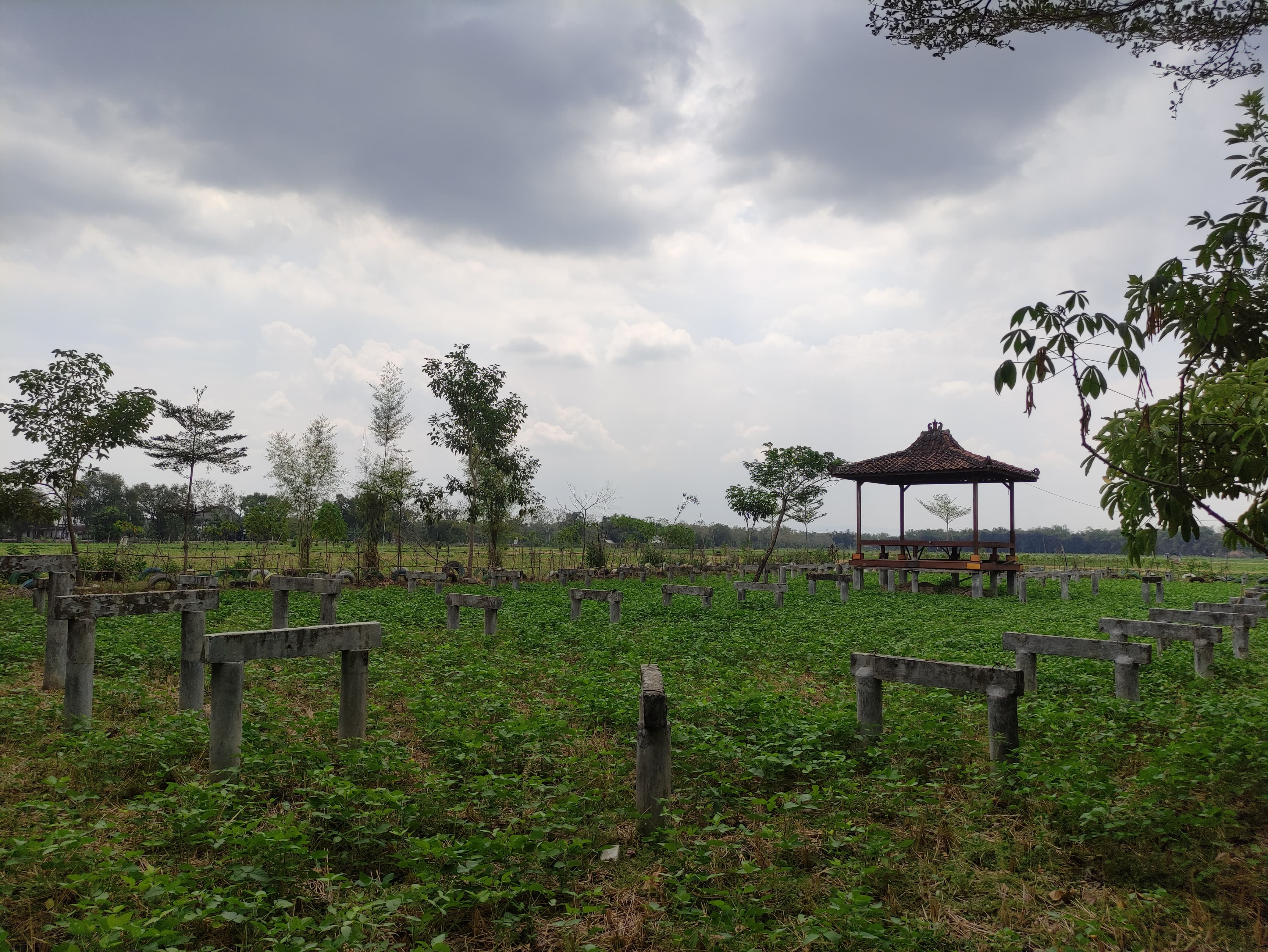 KURANG TERAWAT: Kondisi Wisata Edukasi Pejambon kurang terawat akibat pandemi Covid-19 yang mengakibatkan sepinya pengunjung. (AHMAD NAWAF TIMYATI FANDAWAN/RADAR BOJONEGORO)