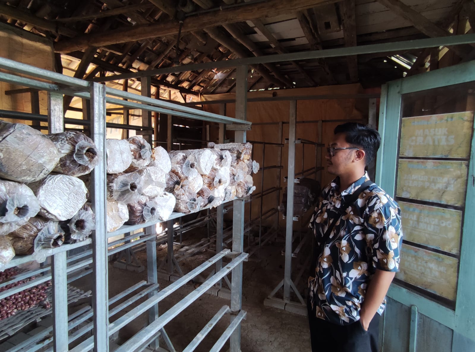 EDUKASI: Wahana Kampoeng Drenges di Desa Drenges, Kecamatan Sugihwaras, Kabupaten Bojonegoro menawarkan edukasi budidaya jamur tiram. (AHMAD NAWAF TIMYATI FANDAWAN/RADAR BOJONEGORO)