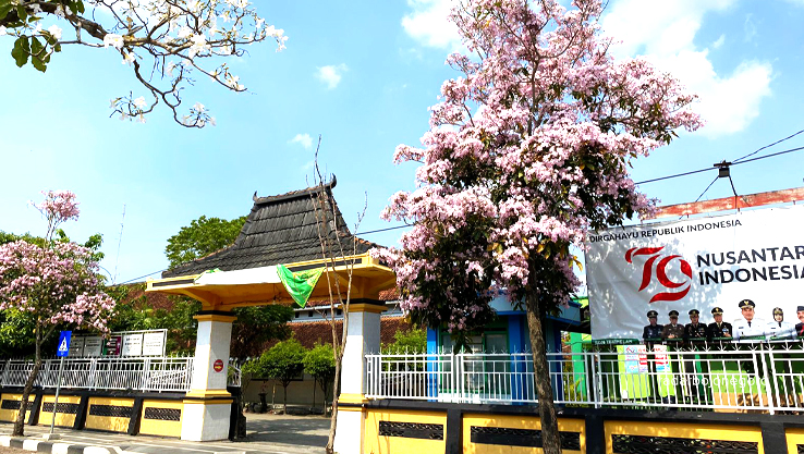 MEKAR MEREKAH: Warna-warni bunga tabebuya di beberapa jalan protokol menghiasi Kabupaten Blora. (RAHUL OSCARRA DUTA/RADAR BOJONEGORO)