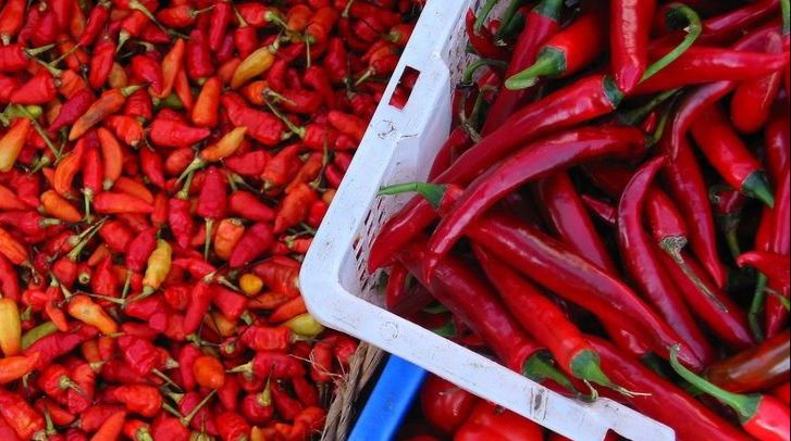 Dengan melimpahnya pasokan cabai dari petani lokal, harga cabai di Blora berangsur-angsur menurun. (HERLINA/RADAR BLORA)