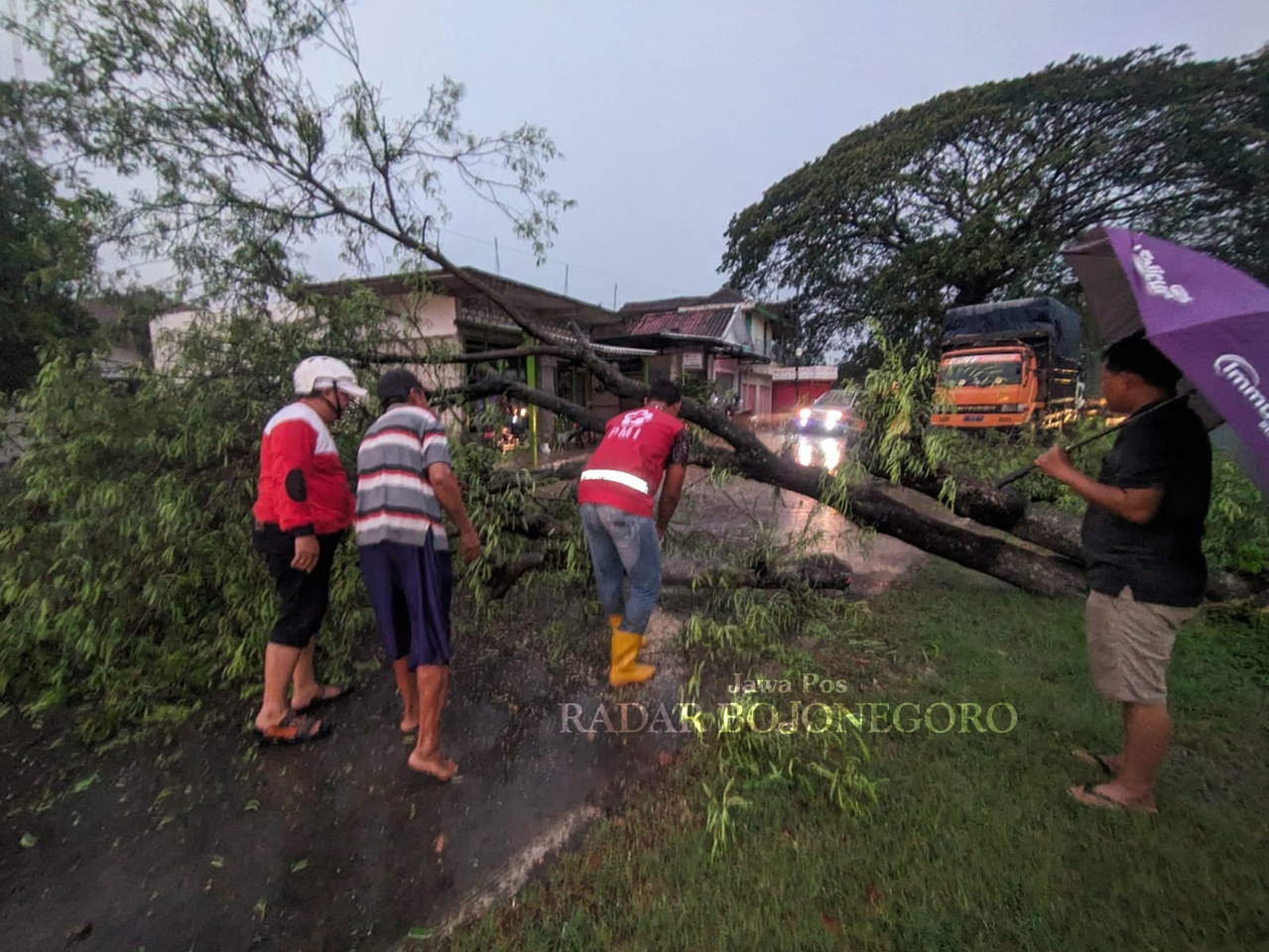 CUACA EKSTREM: Pepohonan di wilayah Desa Ngraho, Kecamatan Kedungtuban roboh akibat diterjang angina kencang. (ISTIMEWA/RADAR BOJONEGORO)