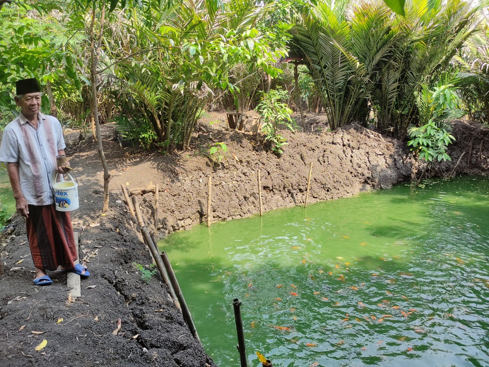 BIBIT IKAN: Puluhan kolam di belakang rumah Makhfur digunakan untuk budidaya aneka bibit ikan.