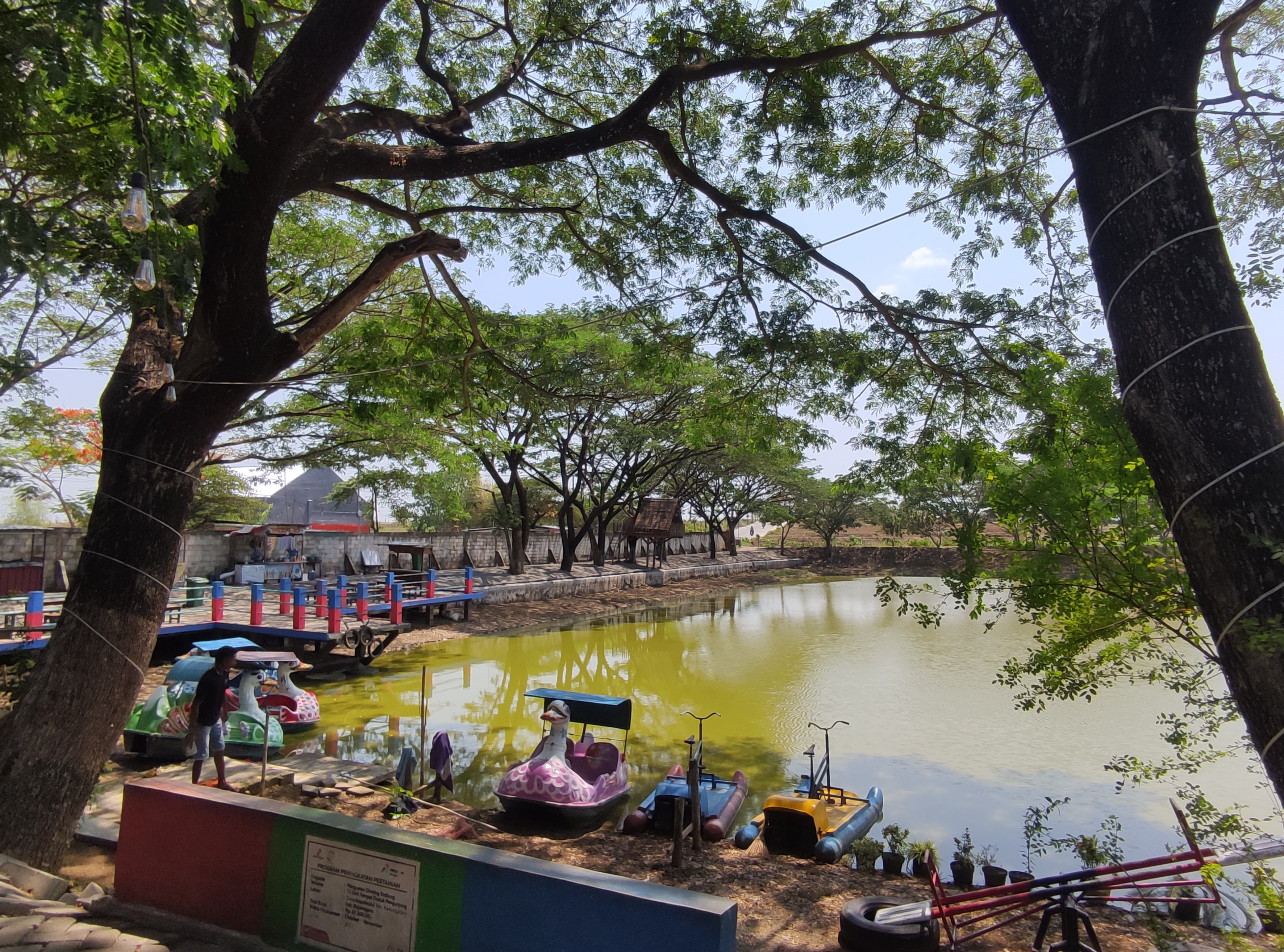 ASRI: Suasana asri di tempat wisata Waduk Pedang di Desa Kepohkidul, Kecamatan Kedungadem, Bojonegoro. (Dokumen Radar Bojonegoro)
