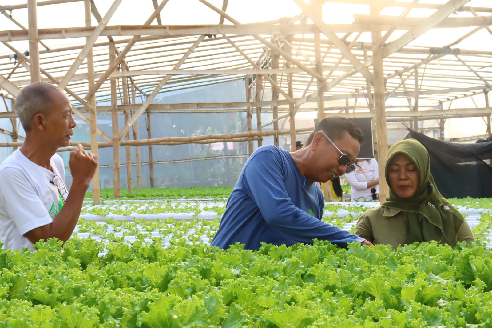 KETAHANAN PANGAN: Aneka potensi Desa Campurejo senantiasa dioptimalkan. Salah satunya fokus pada potensi berbasis ketahanan pangan seperti greenhouse.