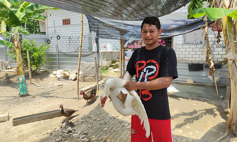 BUDIDAYA ENTOK: Entok jenis rambon dan jumbo dibudidayakan oleh Irul di lahan kosong belakang rumahnya turut Desa Tapelan, Kecamatan Kapas. (AHMAD NAWAF TIMYATI FANDAWAN/RADAR BOJONEGORO)