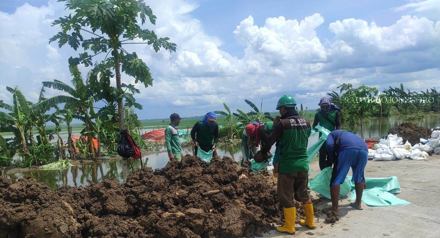 LANGGANAN: Warga bersama petugas membuat tanggung sementara dari karung berisi tanah. Jebolnya tanggul Kali Ingas ini sudah menjadi langganan setiap tahun. (DHANI WAHYU ALFIANSYAH/RADAR BOJONEGORO)