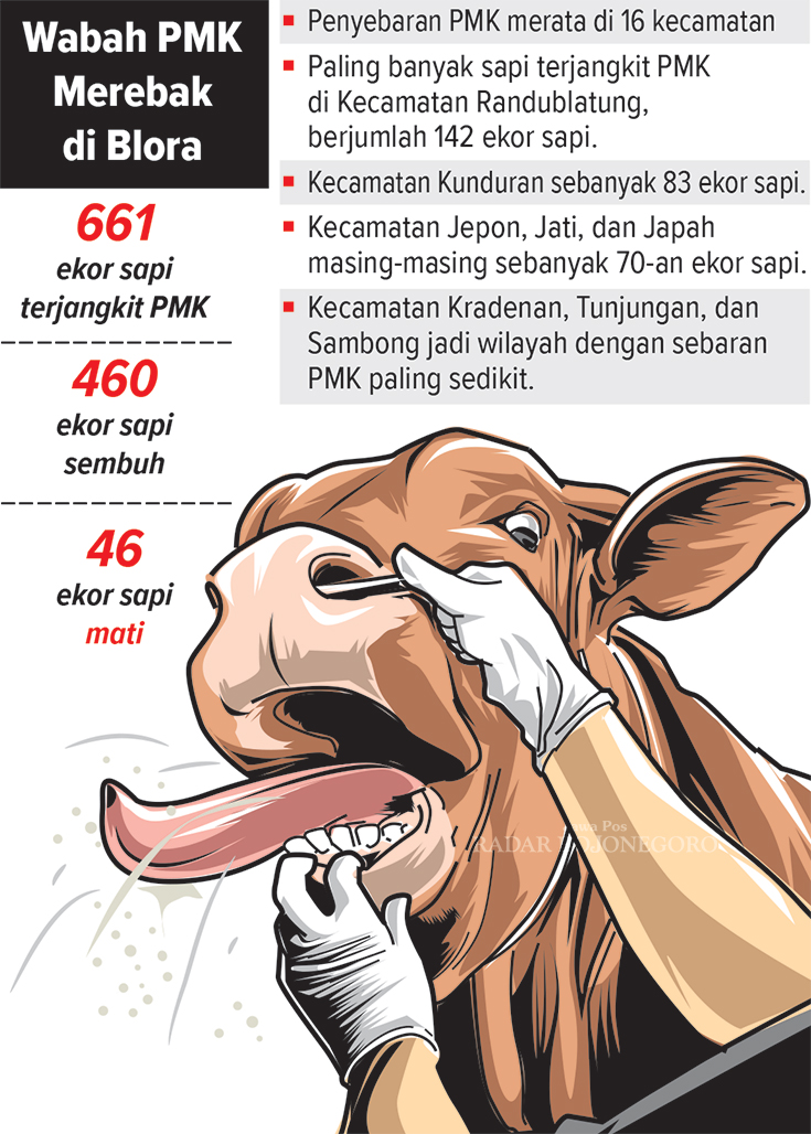 Data wabah PMK di Blora (AINUR OCHIEM/RADAR BOJONEGORO)