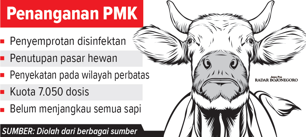 Infografis Penanganan PMK Oleh Disnakkan Bojonegoro (AINUR OCHIEM/RADAR BOJONEGORO)
