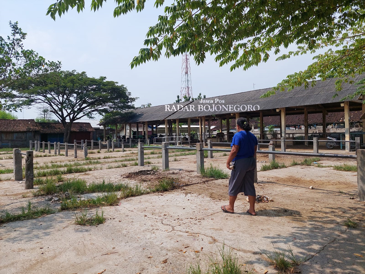TUTUP: Pasar hewan di Blora masih tutup untuk sementara karena kasus PMK masih mengintai. Dindagkop UKM Blora masih menunggu kabar dari DP4 Blora. (M. LUKMAN HAKIM/RADAR BOJONEGORO)
