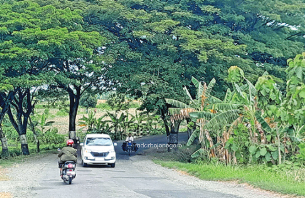 BELUM PERBAIKAN : Banyak tambalan di Jalan Cepu-Doplang. Warga berharap segera ada perbaikan.
