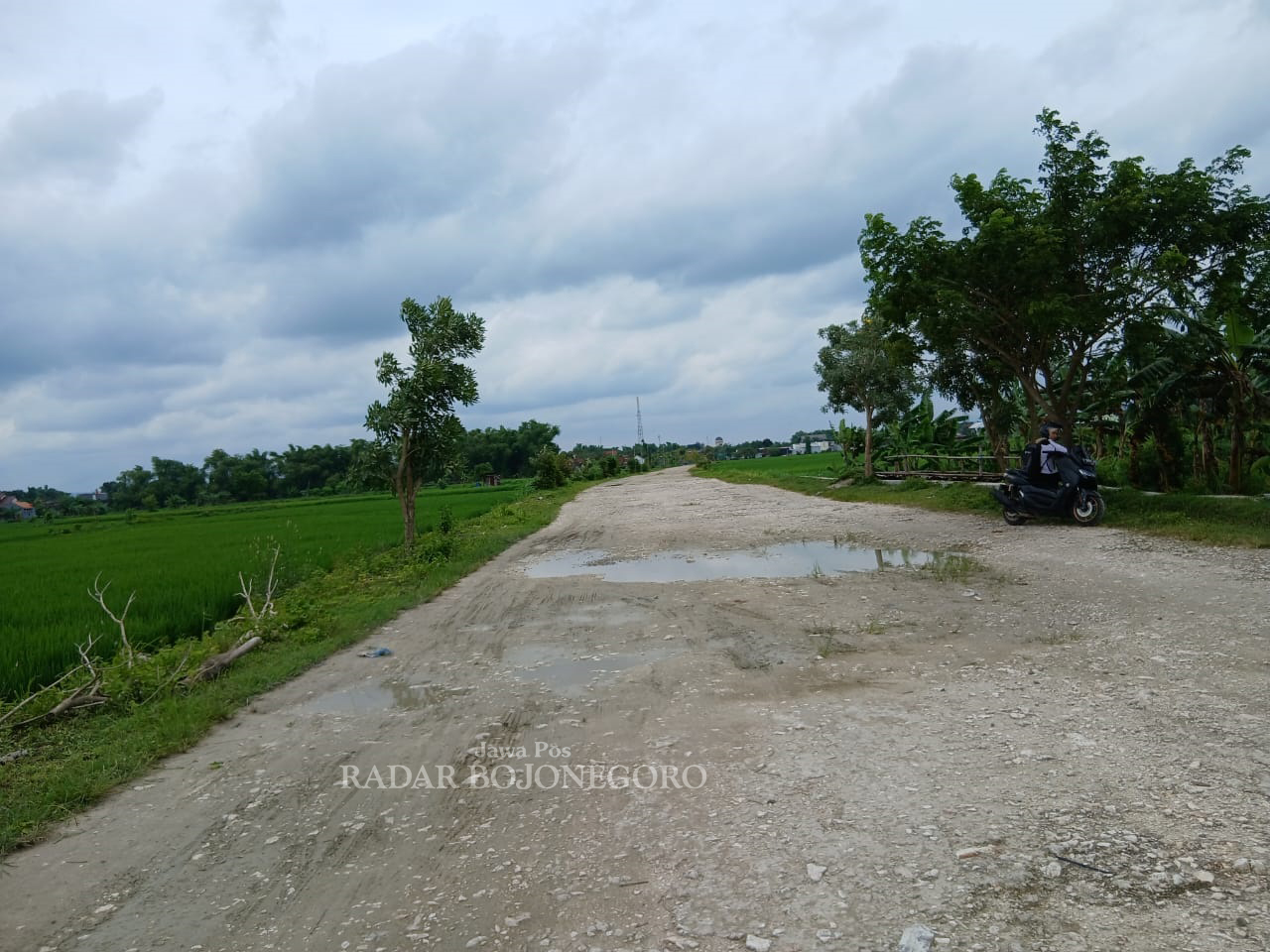 CALON JALAN PRAMOEDYA: Ruas jalan baru perbatasan Kelurahan Mlangsen dan Beran, Kecamatan Blora Kota direncanakan akan diberi nama Jalan Pramoedya Ananta Toer.  (M. LUKMAN HAKIM/RADAR BOJONEGORO)