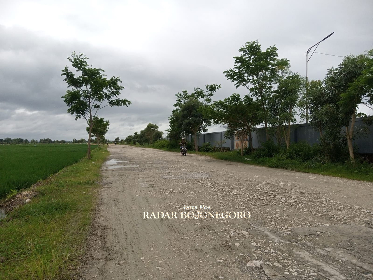 CALON JALAN PRAM: Ruas jalan perbatasan Kelurahan Mlangsen dan Beran turut Kecamatan Blora Kota direncanakan akan diberi nama Jalan Pramoedya Ananta Toer. (RAHUL OSCARRA DUTA/RADAR BOJONEGORO)