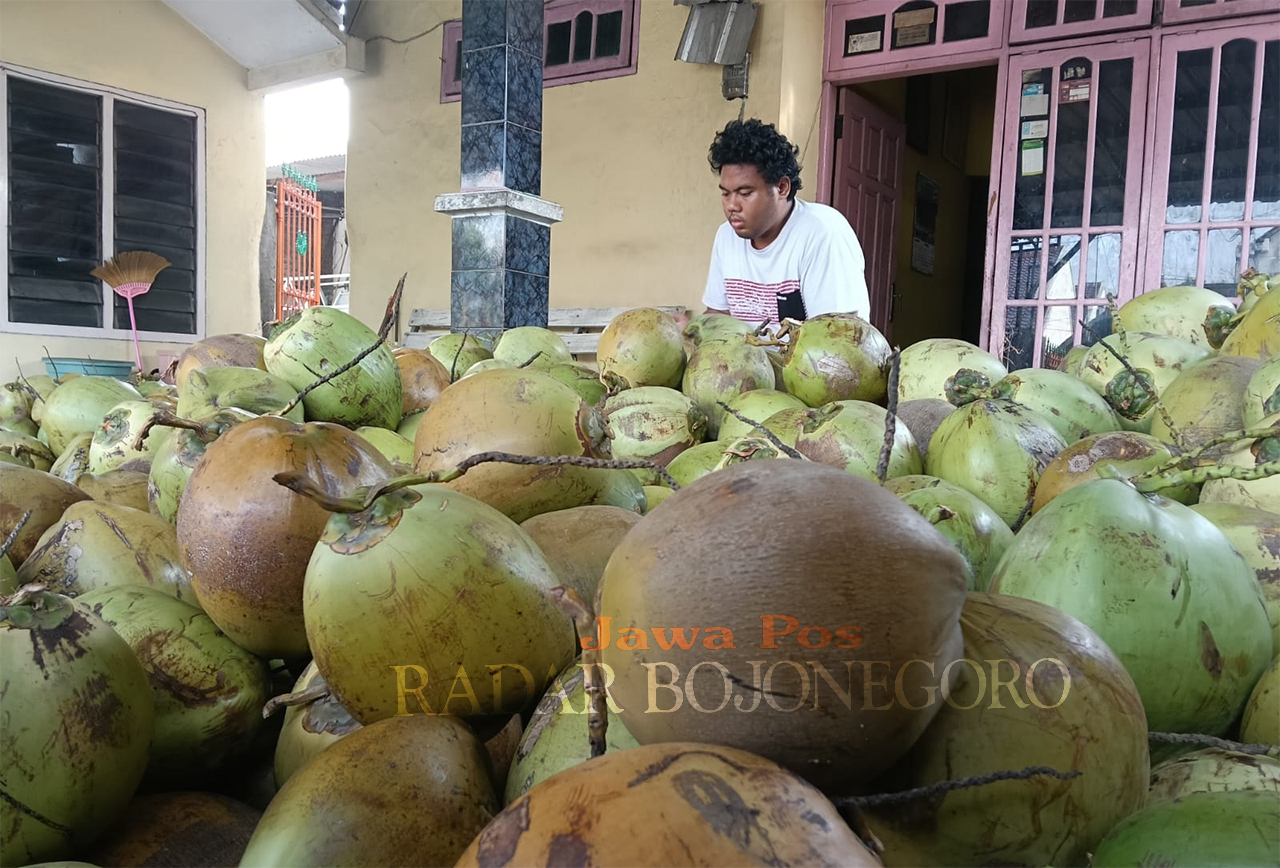 DIPASOK LUAR KOTA: Kebutuhan kelapa muda selama ini dipasok dari luar kota, butuh program serius dari pemkab agar warga Bojonegoro mandiri mencukupi kebutuhan kelapa. (MUHAMMAD SUAEB/RADAR BOJONEGORO)