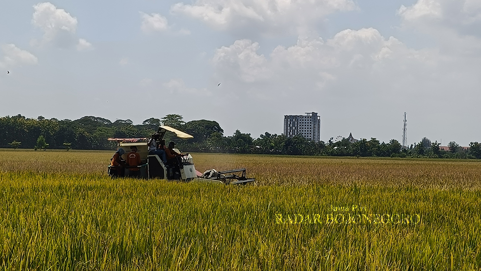 (YUAN EDO/RADAR BOJONEGORO)