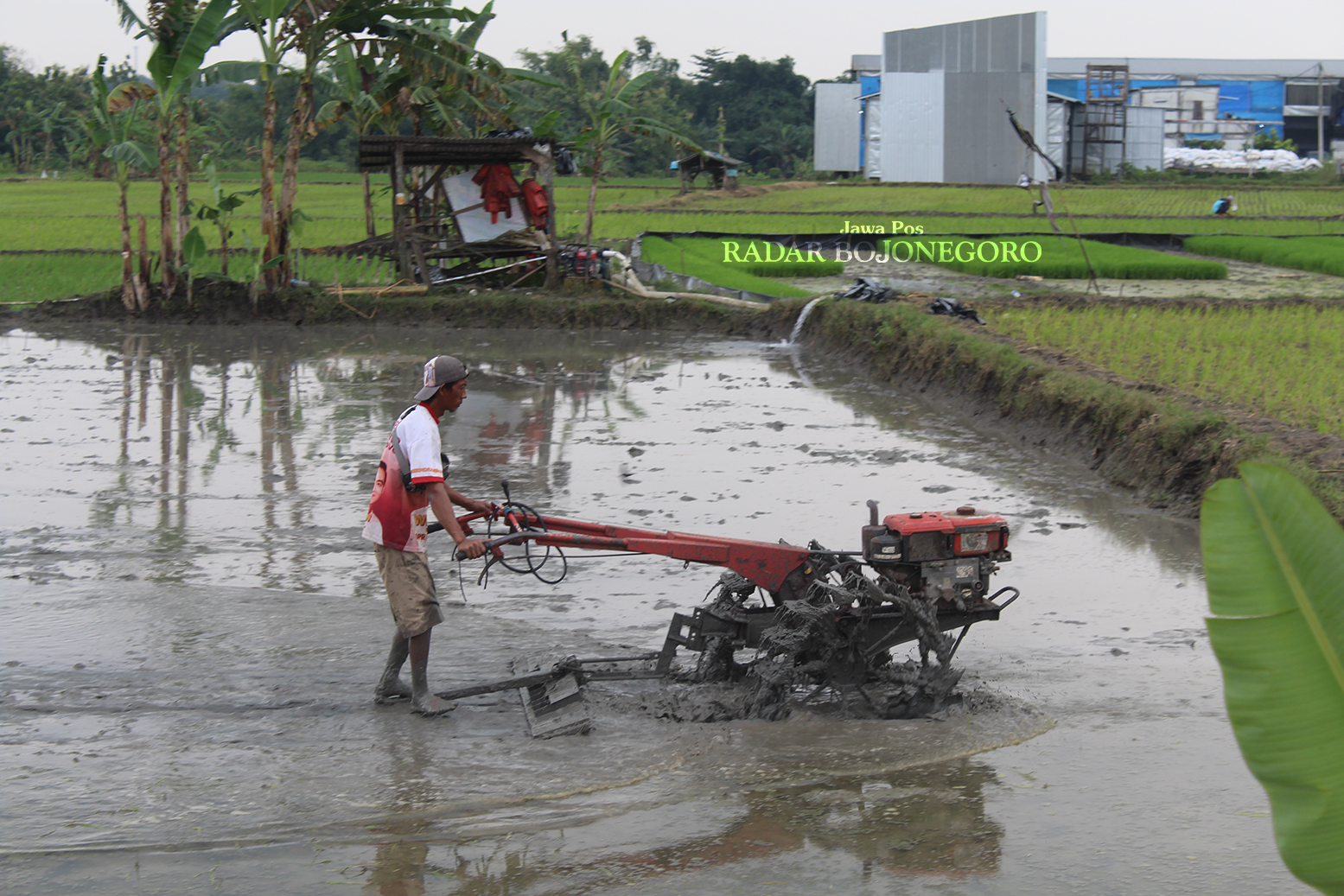 KIAN PADAT: Petani membajak sawah di Kecamatan Dander. Saat ini, lahan pertanian terus menyempit oleh bangunan dan maraknya alih fungsi lahan. (DOKUMEN RADAR BOJONEGORO)