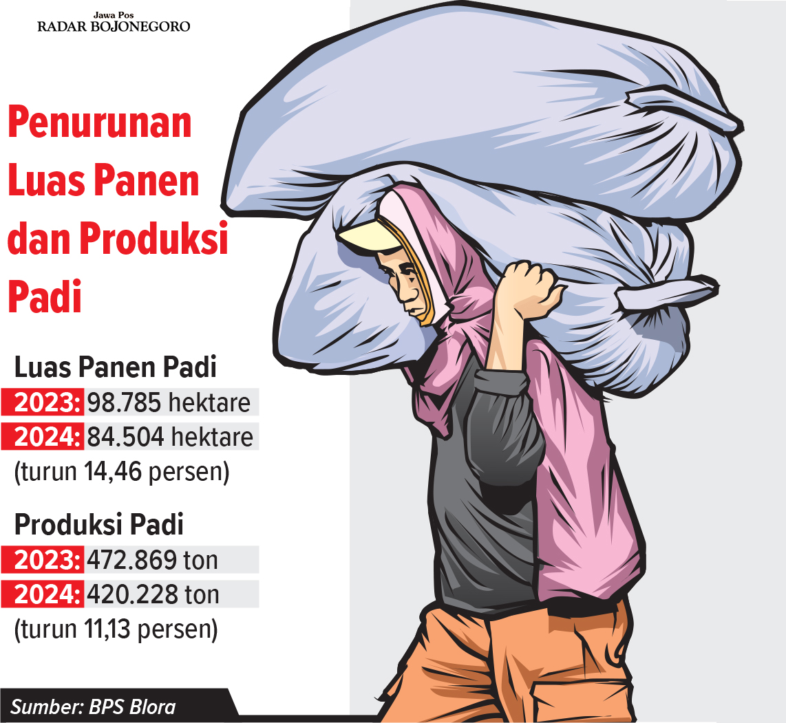 Infografis Penurunan Luas Panen dan Porduksi Padi di Blora (AINUR OCHIEM/RADAR BOJONEGORO)