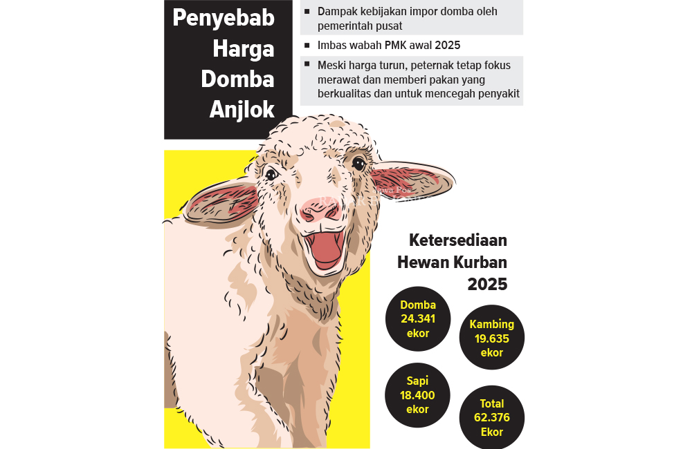 Grafis dan ilustrasi domba jelang Idul Adha 2025.