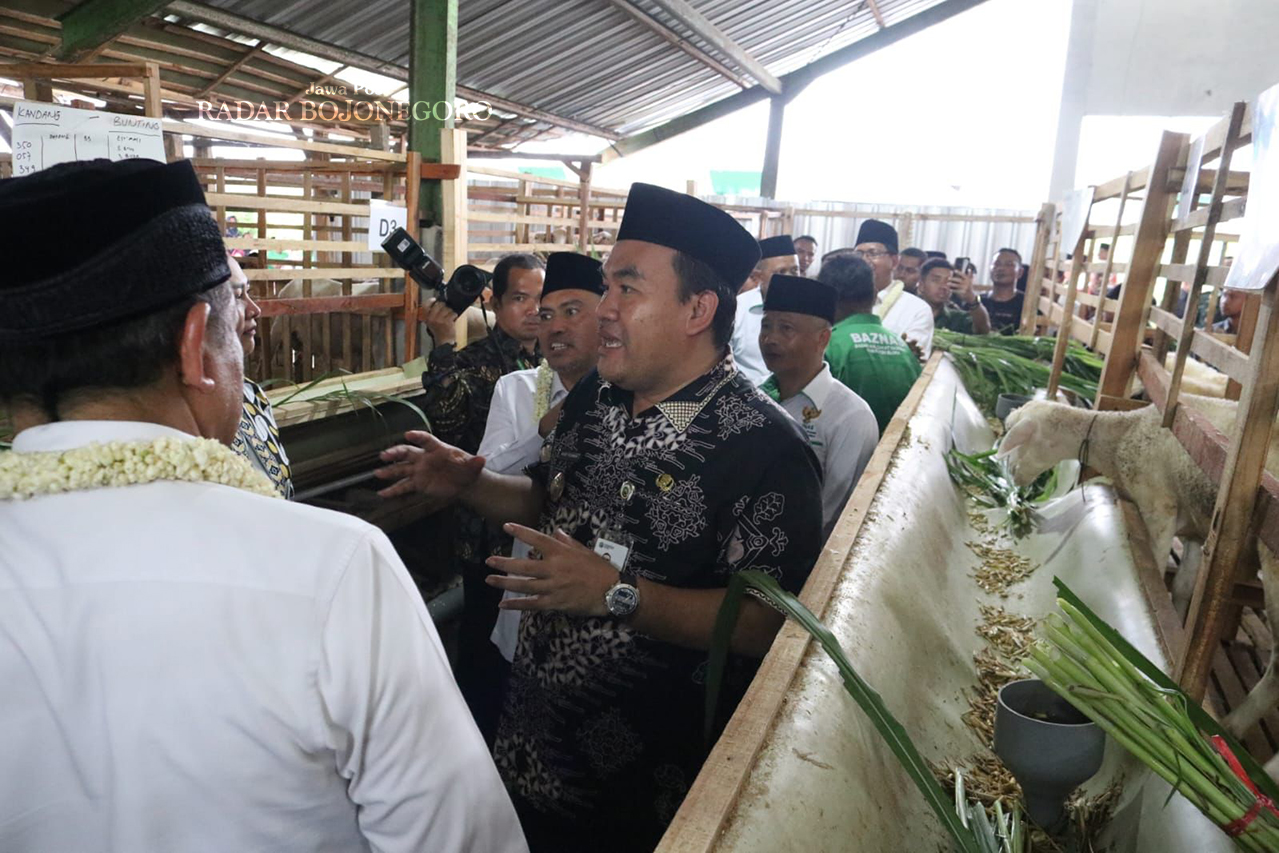 MELIMPAH: Populasi hewan ternak di Blora melimpah. Sehingga, Baznas RI melirik Blora sebagai lokasi Balai Ternak. (M. LUKMAN HAKIM/RADAR BOJONEGORO)