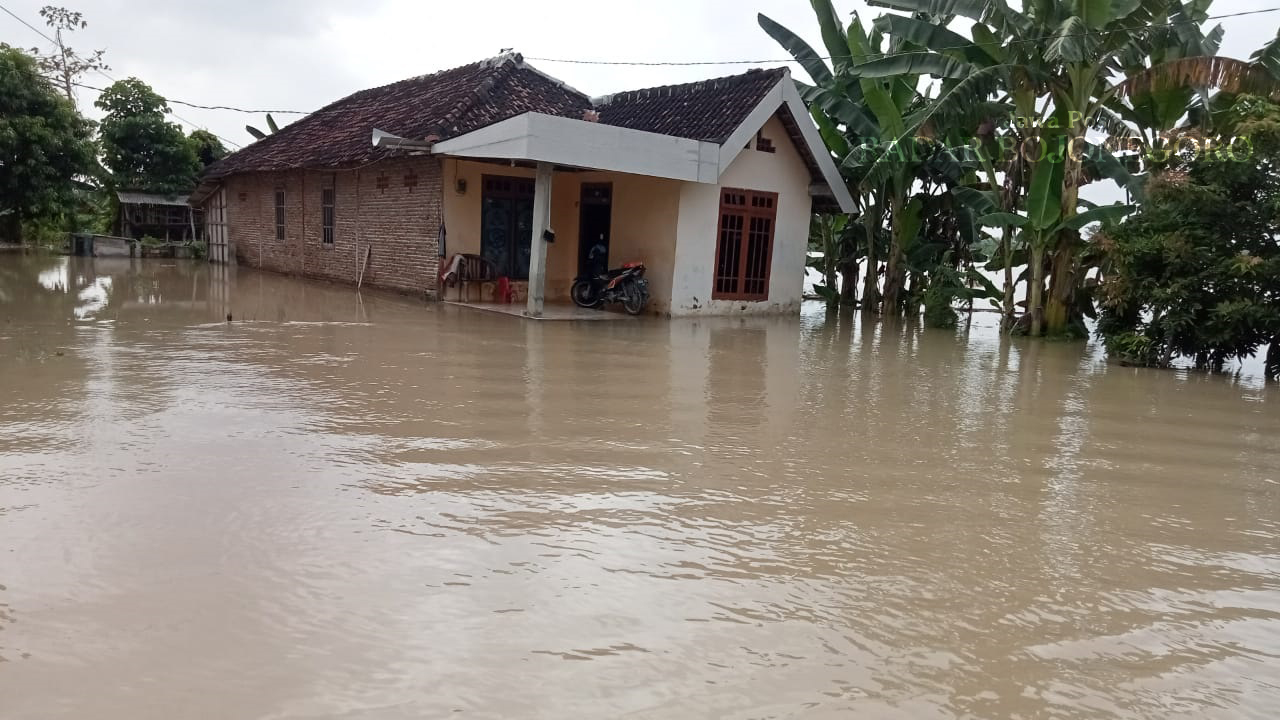 TERGENANG: Salah satu rumah warga Kecamatan Baureno tergenang banjir akibat luapan air Sungai Bengawan Solo. (M.NURCHOLIS/RADAR BOJONEGORO)