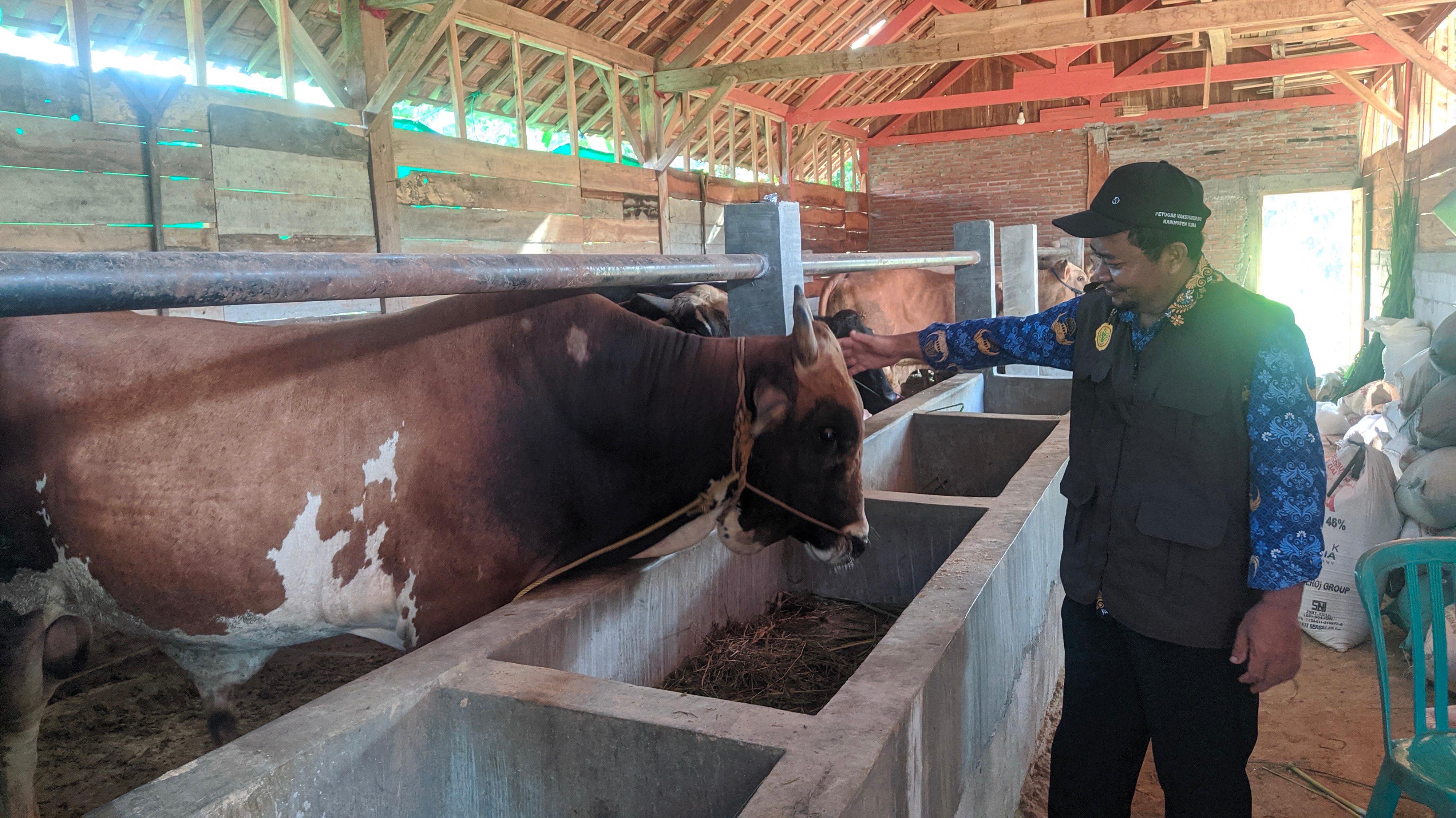 IDUL ADHA 2025: DP4 Blora memastikan kesehatan ribuan hewan kurban jelang Idul Adha 2025.