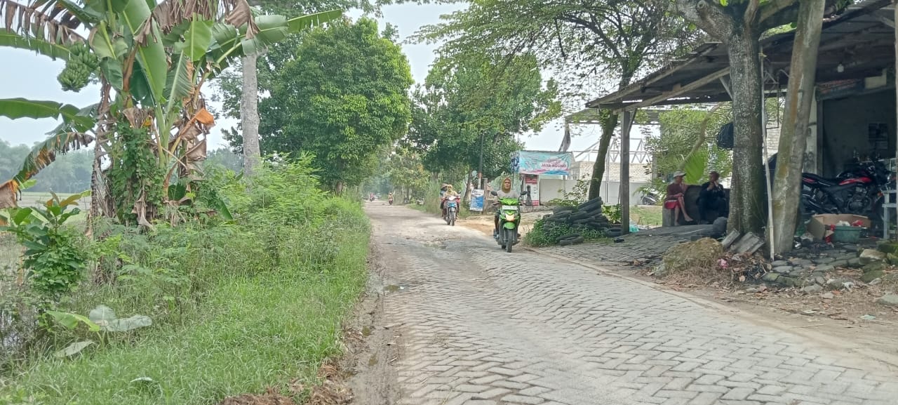 BUTUH PERBAIKAN: Jalan poros Kapas-Kota, tepatnya di Desa Semanding Kecamatan Bojonegoro butuh perbaikan. (YANA DWI KURNIYA WATI/RADAR BOJONEGORO)