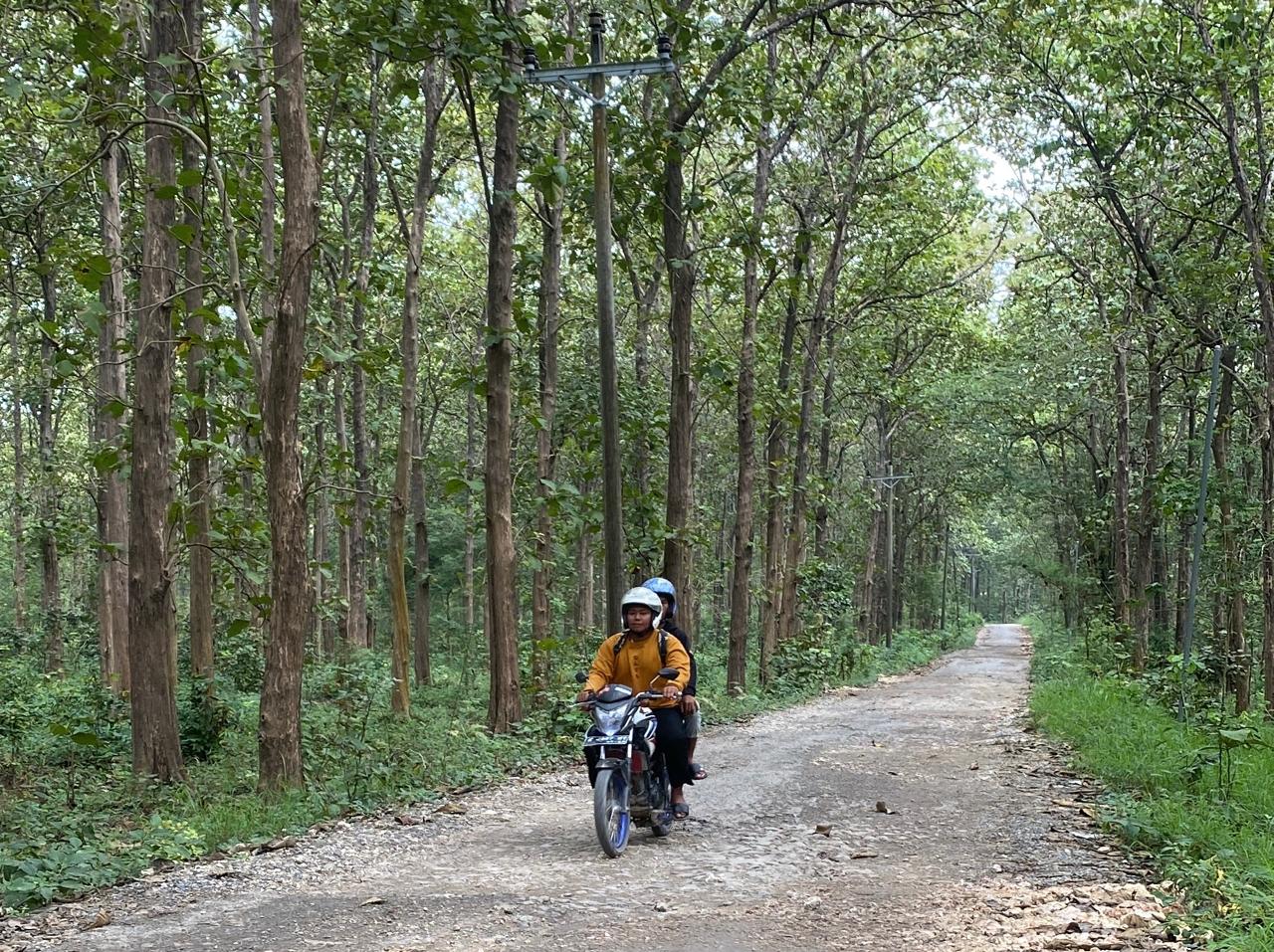 HUTAN: Lahan hutan di Kabupaten Blora seluas 36 hektare menunggu sertifikat dari KLHK.