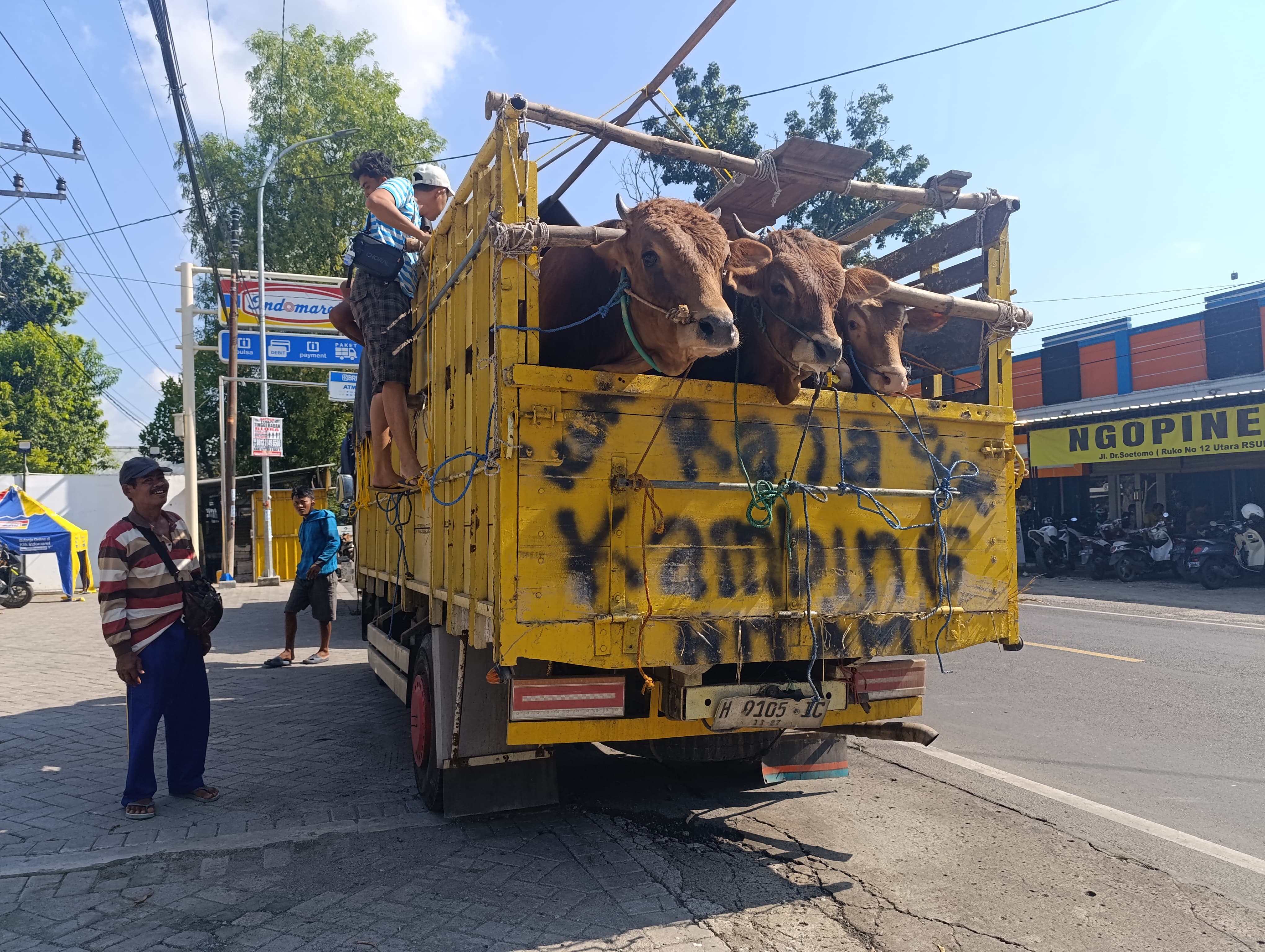 (DHANI WAHYU ALFIANSYAH/RADAR BOJONEGORO)