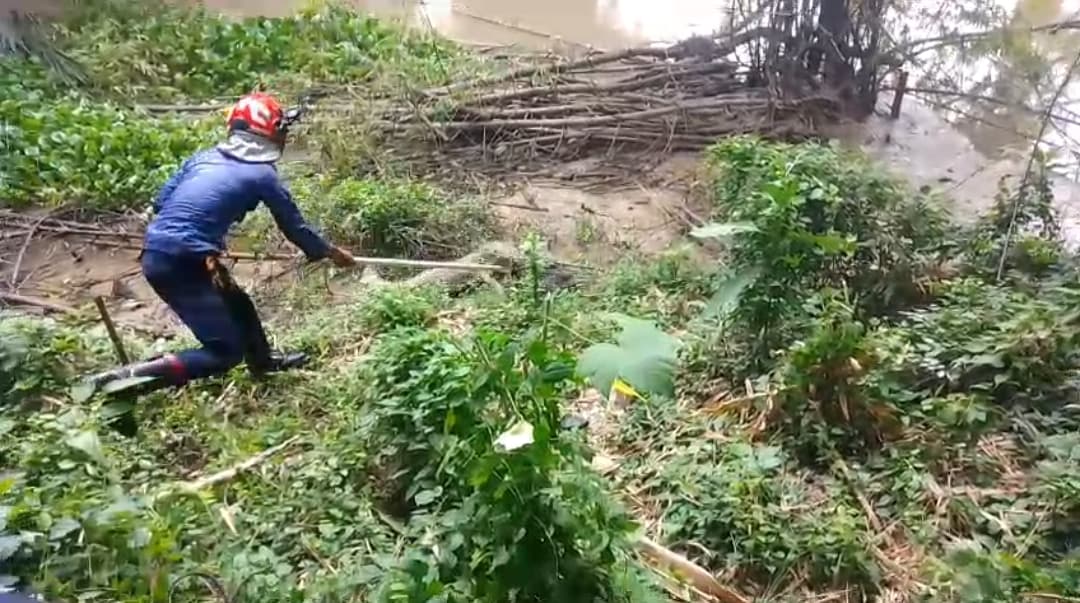 MENANGKAP BUAYA: Petugas berusaha menangkap buaya di Kecamatan Trucuk, Bojonegoro.