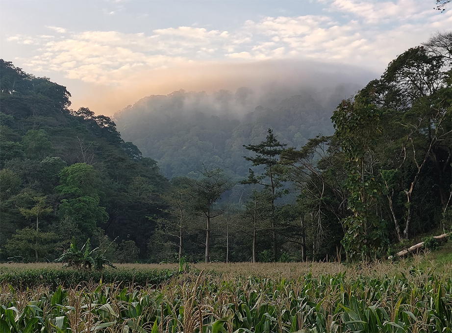 Awan topi nampak menyelimuti Gunung Pandan di Bojonegoro pada Minggu sore (15/6) (DHANI WAHYU ALFIANSYAH/RADAR BOJONEGORO)