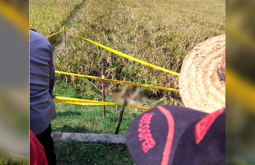 Penemuan mayat perempuan di Singgahan, Tuban.