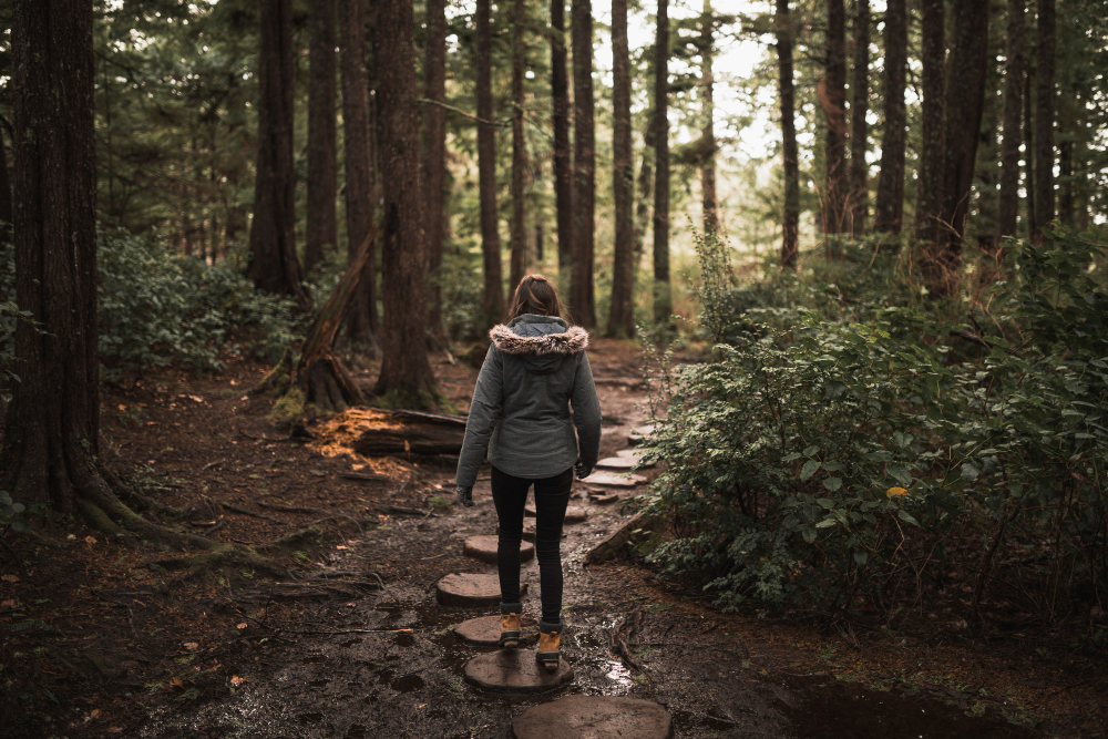 Ilustrasi foto berjalan di tengah hutan.