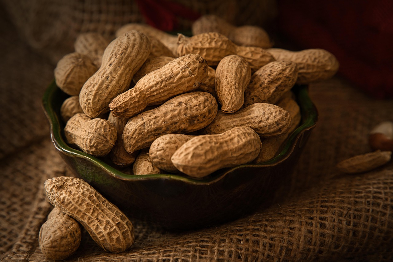 Ilustrasi kacang.