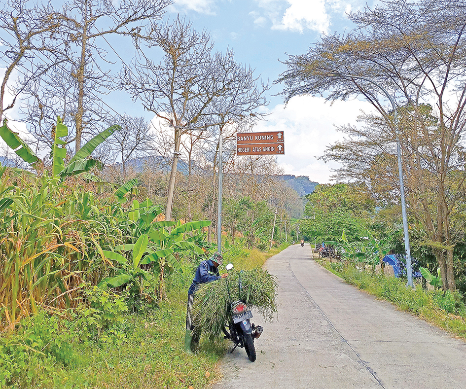 PENUNJUK WISATA: Papan penunjuk arah wisata terpasang di Jalan Raya Kecamatan Gondang-Sekar. (YANA DWI KURNIYA/RADAR BOJONEGORO)